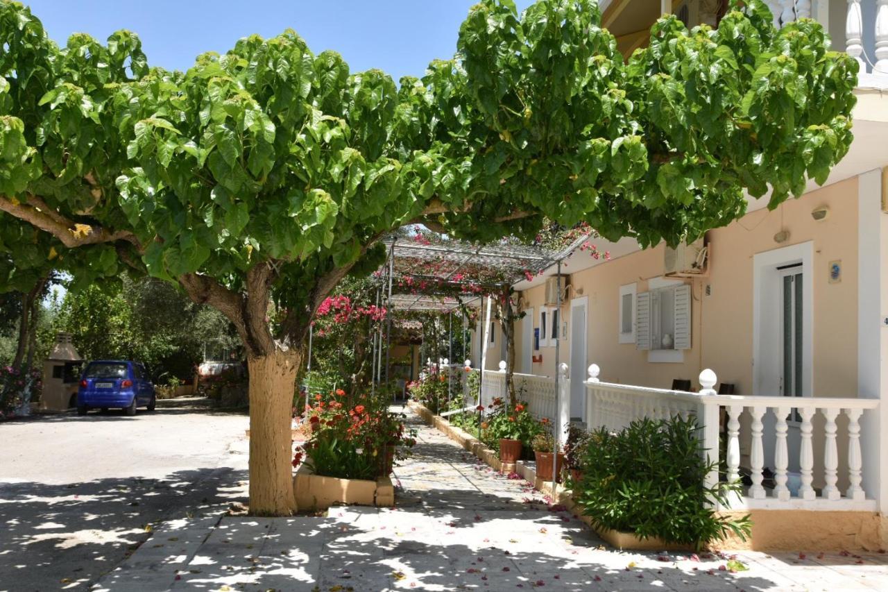 Casa Dyonisia Tsilivi Aparthotel Planos  Exterior photo