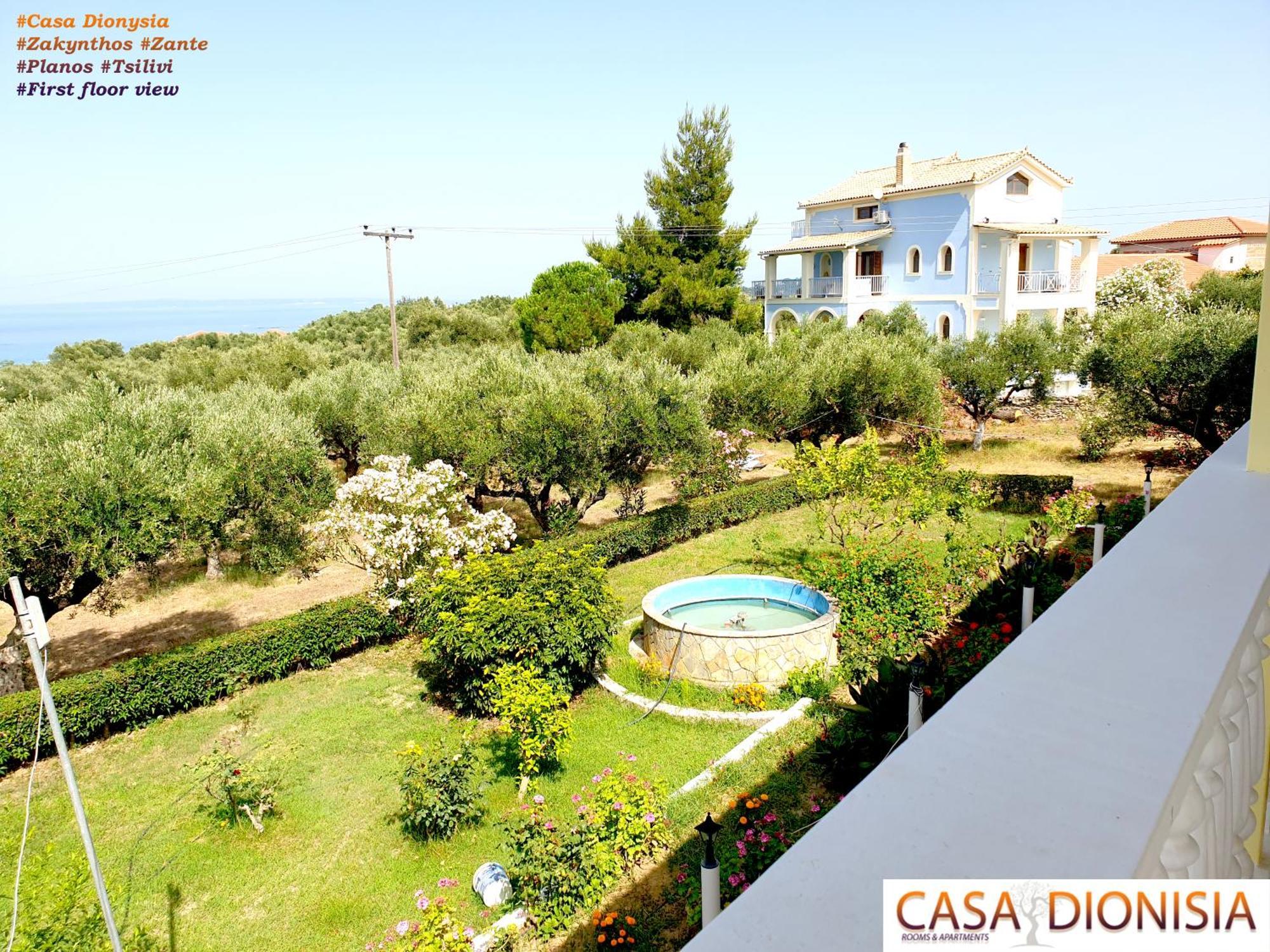 Casa Dyonisia Tsilivi Aparthotel Planos  Exterior photo